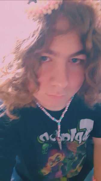 Noah Meola