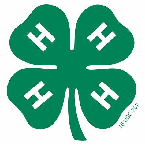4 H