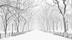 Winter Bucket List