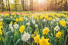 How to make the most of Spring Break